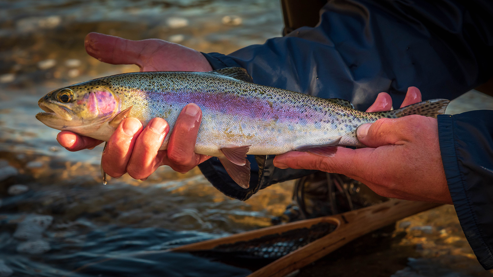 Fishing Archives - Southwest Idaho Travel Association